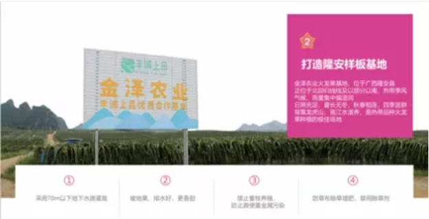 火龙果3.png