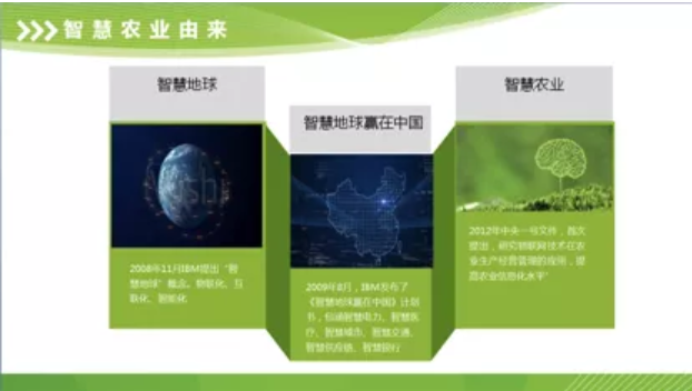 火龙果6.png